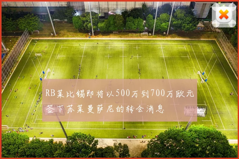 RB莱比锡即将以500万到700万欧元签下苏莱曼萨尼的转会消息