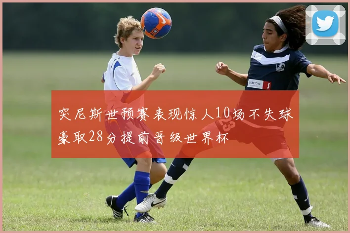 突尼斯世预赛表现惊人10场不失球豪取28分提前晋级世界杯